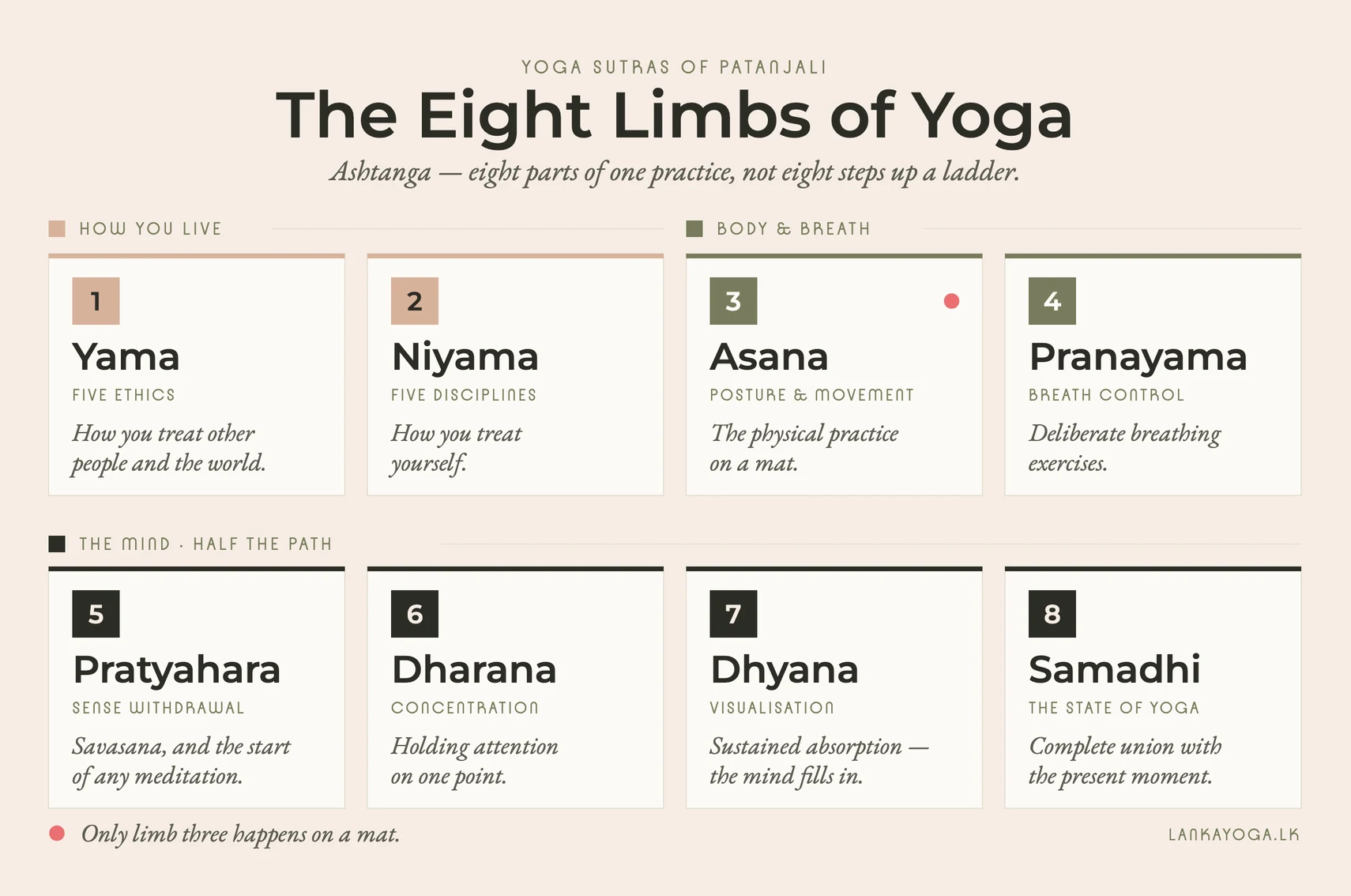 Infographic of the eight limbs of yoga: yama, niyama, asana, pranayama, pratyahara, dharana, dhyana and samadhi